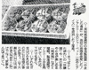 産経新聞朝刊